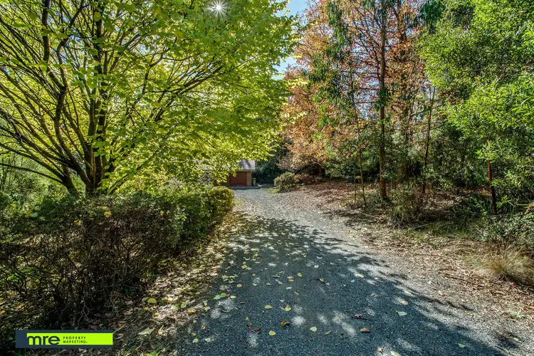 Sixth view of Homely house listing, 207 Emerald-Monbulk Road, Monbulk VIC 3793