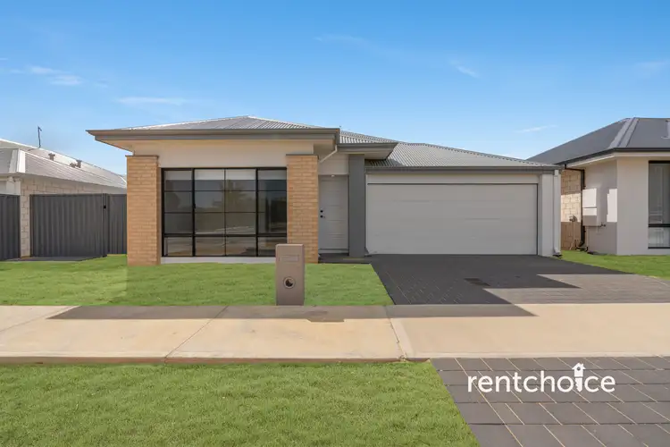 6 Capsico Grove, Wellard WA 6170