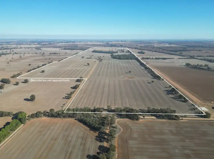 Main view of Homely rural property listing, 1501 Howlong-Goombargana Road, Brocklesby NSW 2642