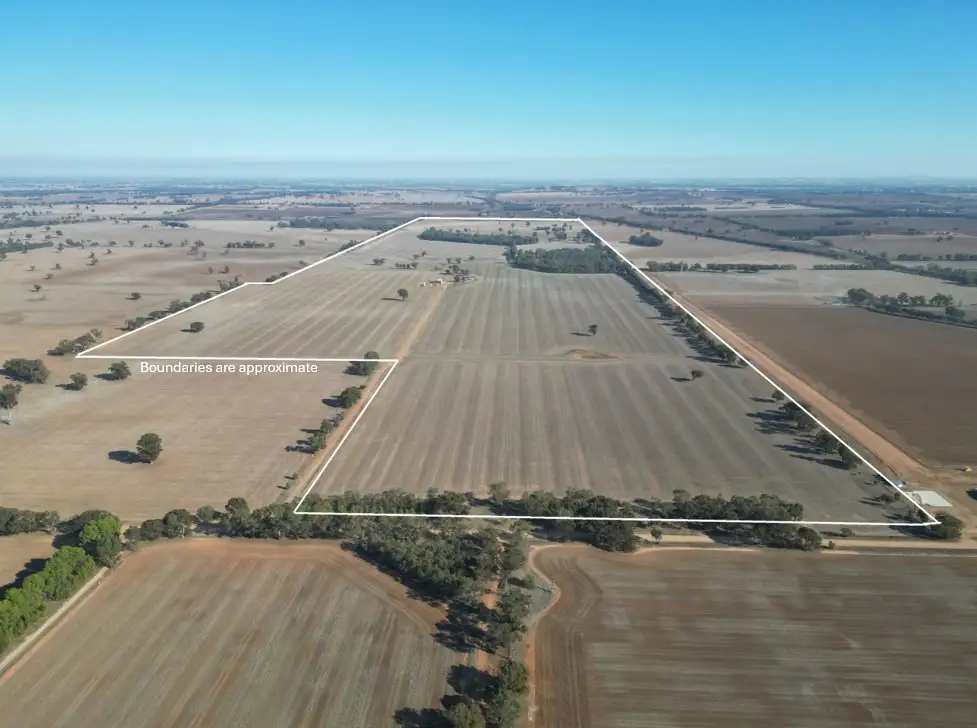 Main view of Homely rural property listing, 1501 Howlong-Goombargana Road, Brocklesby NSW 2642