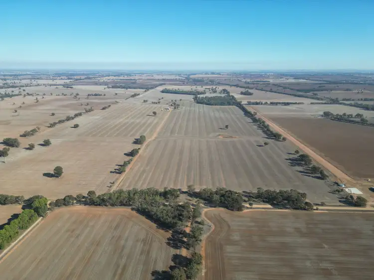 Second view of Homely rural property listing, 1501 Howlong-Goombargana Road, Brocklesby NSW 2642