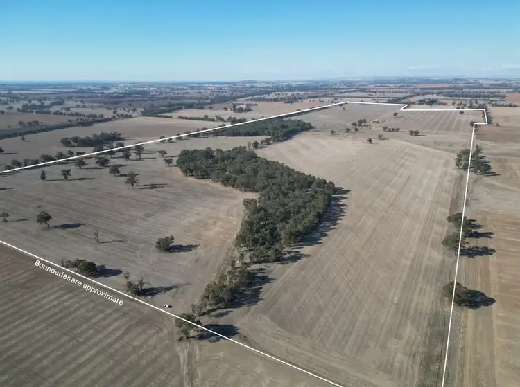 Third view of Homely rural property listing, 1501 Howlong-Goombargana Road, Brocklesby NSW 2642