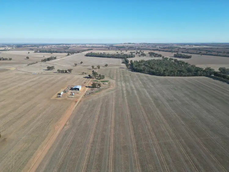 Fourth view of Homely rural property listing, 1501 Howlong-Goombargana Road, Brocklesby NSW 2642