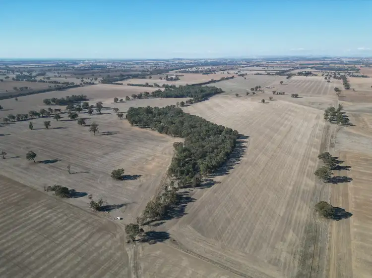 Sixth view of Homely rural property listing, 1501 Howlong-Goombargana Road, Brocklesby NSW 2642