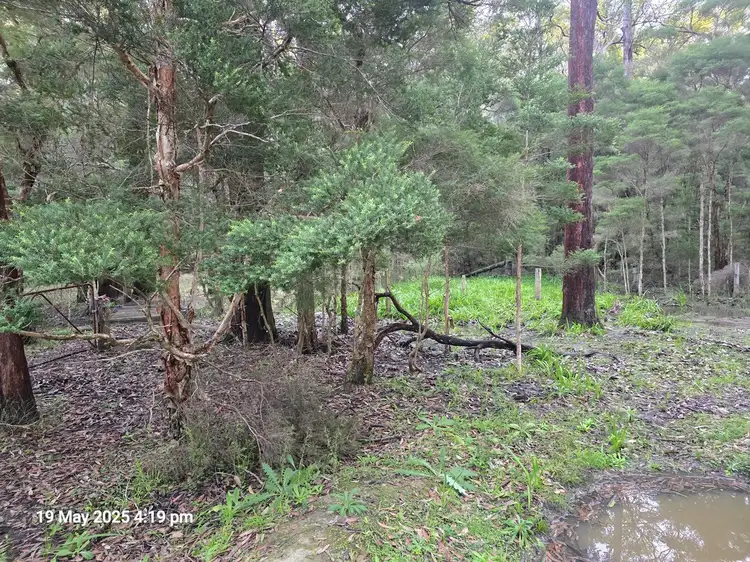 Seventh view of Homely land listing, 151 Inglewood Crescent, Tomerong NSW 2540