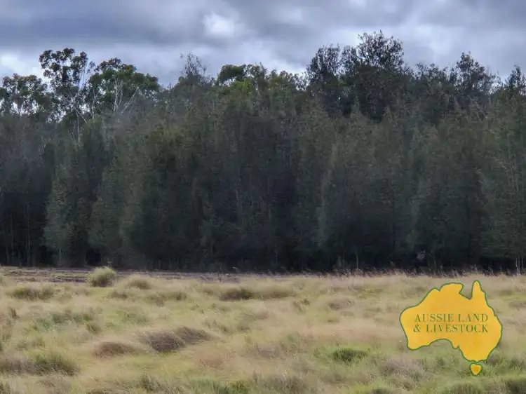 Sixth view of Homely rural property listing, LOT 134, . Meehans Road, Memerambi QLD 4610