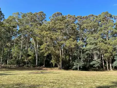 Seventh view of Homely land listing, - Pages Road, Calder TAS 7325