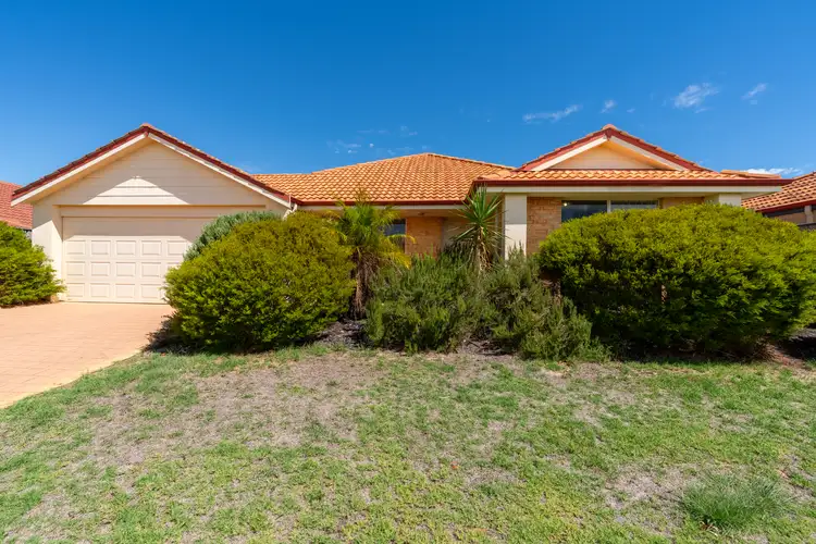 Main view of Homely house listing, 19 Kookynie Loop, Baldivis WA 6171