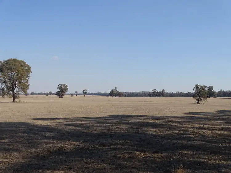 Fifth view of Homely rural property listing, 351 Tattersalls Lane, Moormbool West VIC 3523