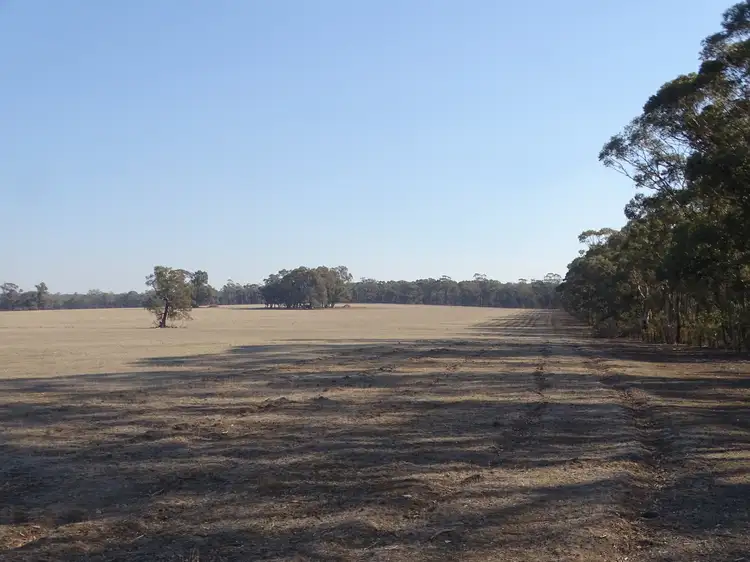 Sixth view of Homely rural property listing, 351 Tattersalls Lane, Moormbool West VIC 3523