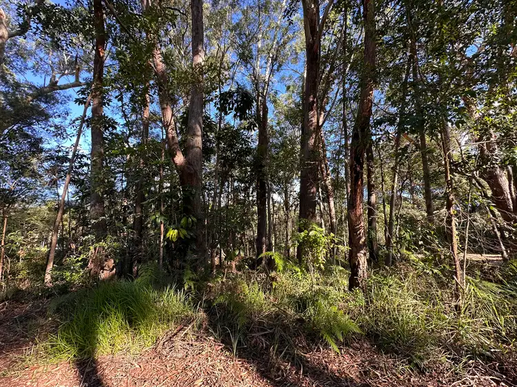 Main view of Homely land listing, 50 Dempsey Street, Russell Island QLD 4184
