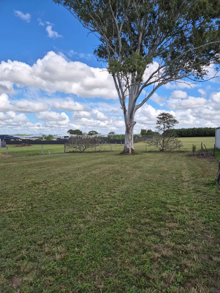 Fifth view of Homely rural property listing, 1280 Moore Park Road, Gooburrum QLD 4670