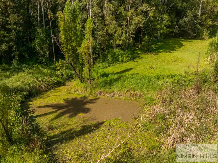 Fifth view of Homely rural property listing, 697 Mountain Top Road, Nimbin NSW 2480