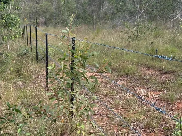 Second view of Homely rural property listing, LOT 145 Svenssons Road, Booyal QLD 4671