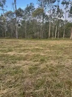Sixth view of Homely rural property listing, LOT 145 Svenssons Road, Booyal QLD 4671