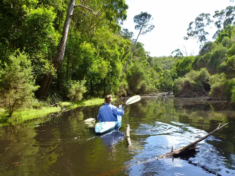 Sixth view of Homely rural property listing, 59B Burgess Track, Wallagaraugh, Genoa VIC 3891