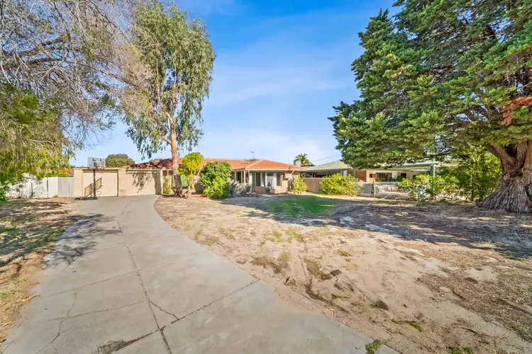 Second view of Homely house listing, 9 Cygnet Place, Lynwood WA 6147