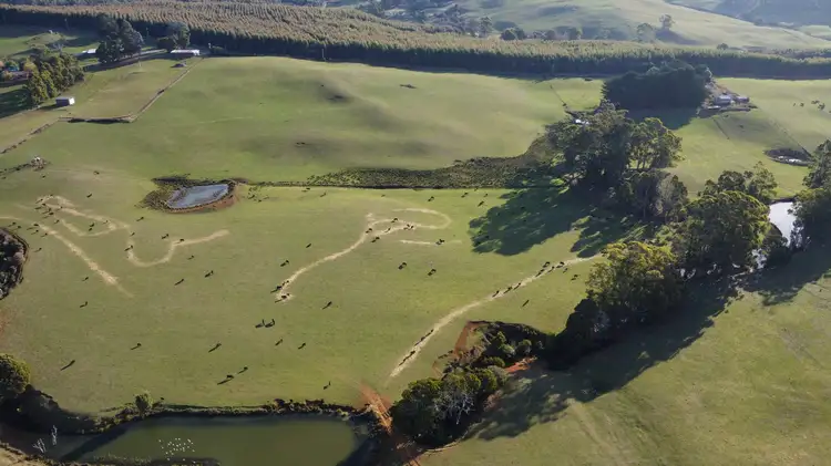 Fourth view of Homely rural property listing, 485 Central Castra Road, Castra TAS 7315
