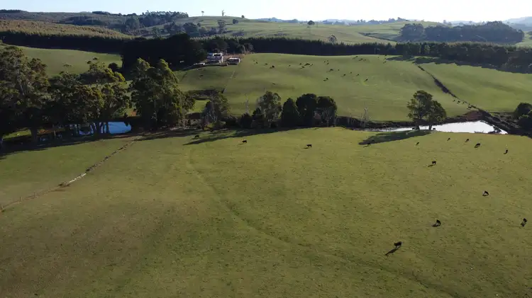 Fifth view of Homely rural property listing, 485 Central Castra Road, Castra TAS 7315