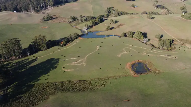 Seventh view of Homely rural property listing, 485 Central Castra Road, Castra TAS 7315
