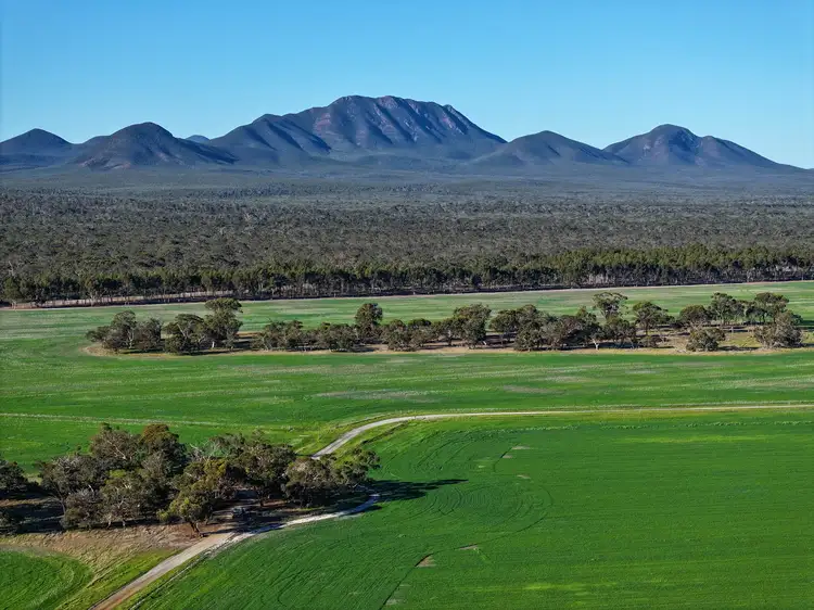 Sixth view of Homely rural property listing, 712 View Range Road, Kendenup WA 6323