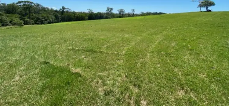 Fourth view of Homely rural property listing, 116 Fig Tree Beach Road, Midgeree Bar QLD 4852