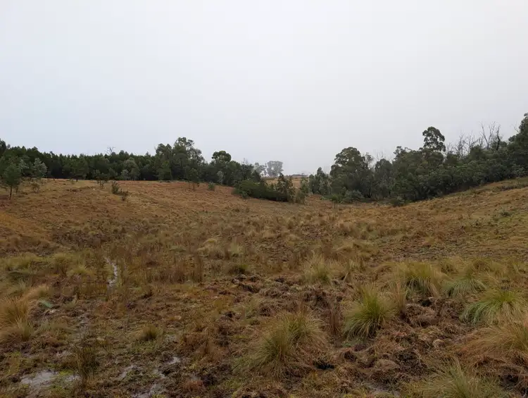 Main view of Homely land listing, 35 Mares Forest Road, Wombeyan Caves NSW 2580