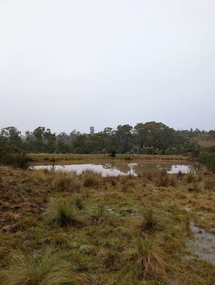 35 Mares Forest Road, Wombeyan Caves NSW 2580