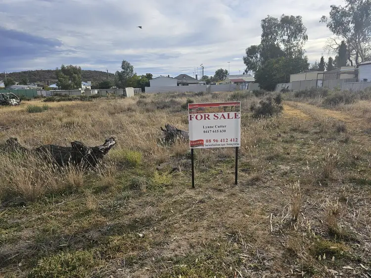 Main view of Homely land listing, 31 James Street, Kellerberrin WA 6410