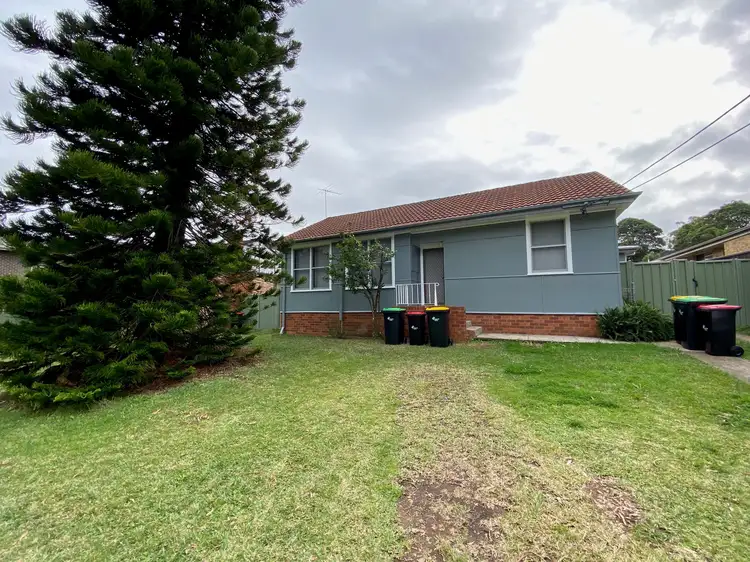 Main view of Homely house listing, 12 Hedley Street, Riverwood NSW 2210