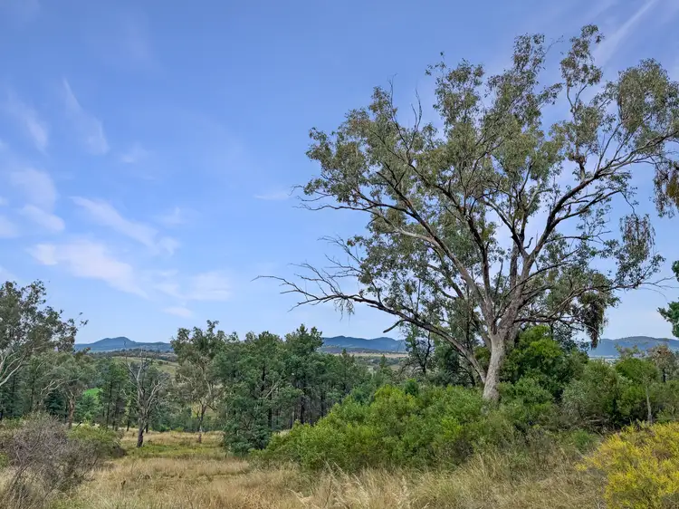 Fifth view of Homely land listing, 1 Grandview Place, Quirindi NSW 2343