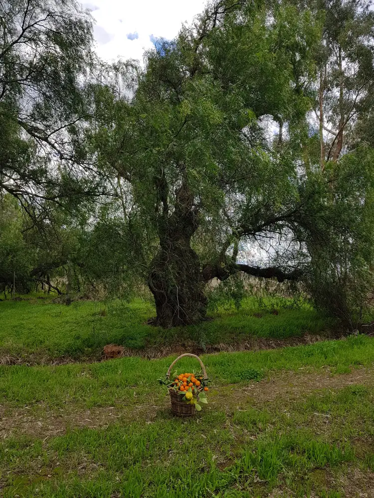 Fifth view of Homely land listing, 796 Murchison-Violet Town Road, Moorilim VIC 3610