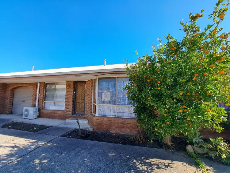6/391 PRUNE STREET, Lavington NSW 2641