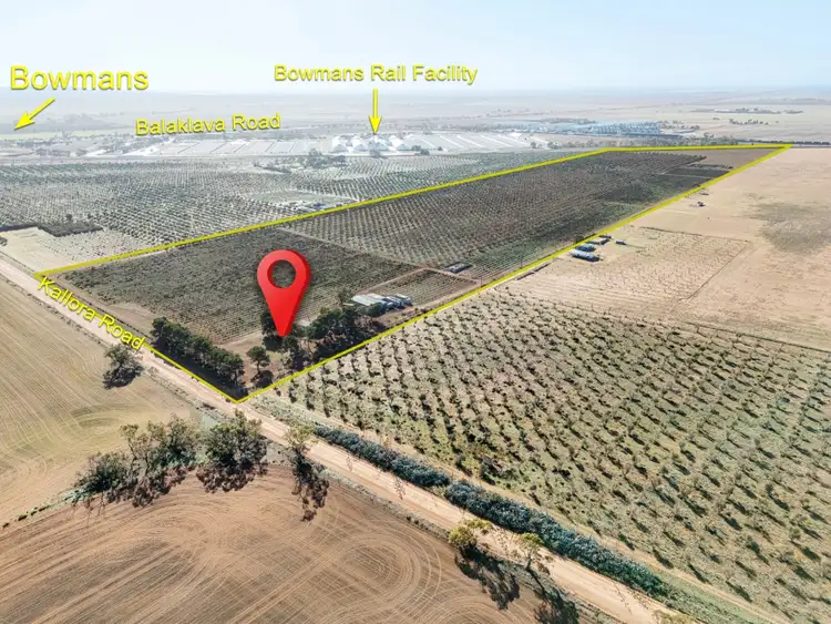 Main view of Homely house listing, 155 Kallora Road, Bowmans SA 5550