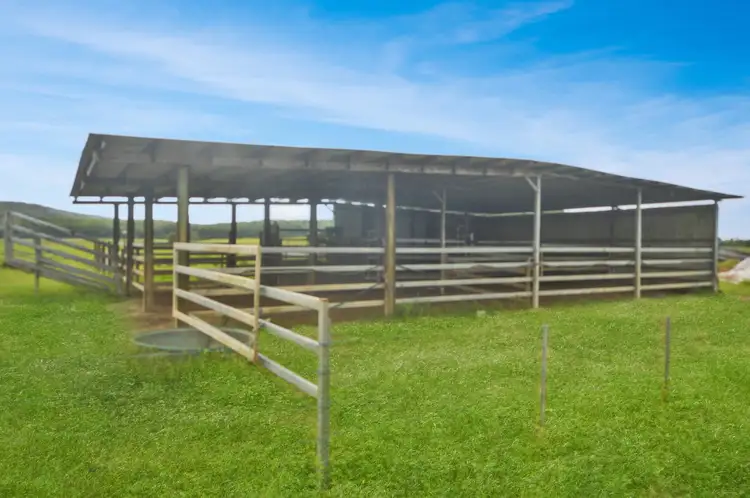 Fifth view of Homely rural property listing, 66 Gangemi Road, Lower Cowley QLD 4871
