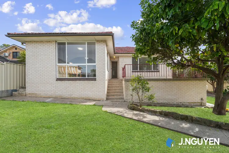 49A Hemphill Avenue, Mount Pritchard NSW 2170