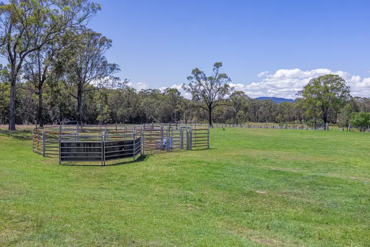 Fifth view of Homely rural property listing, 208A Roughit Lane, Roughit NSW 2330