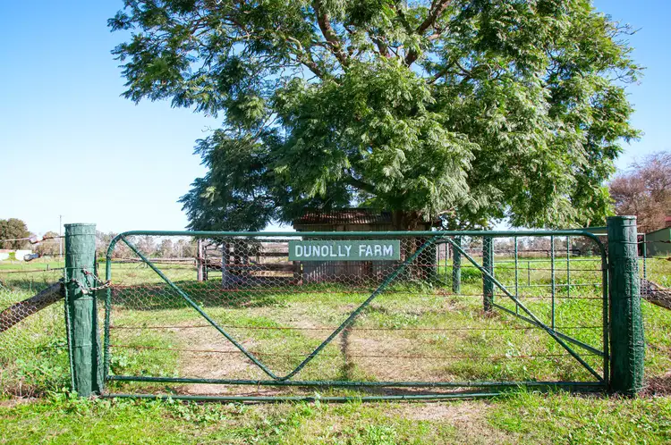 31-33 DUNOLLY RD, Singleton NSW 2330