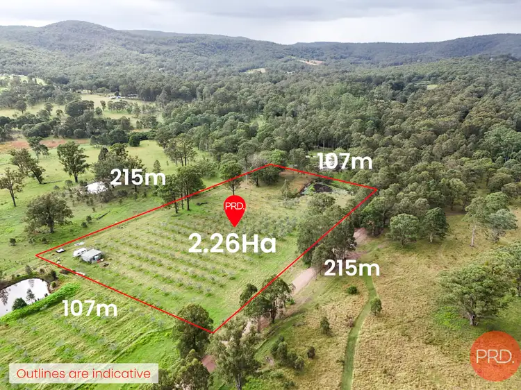 Main view of Homely land listing, 124a Duns Creek Road, Duns Creek NSW 2321