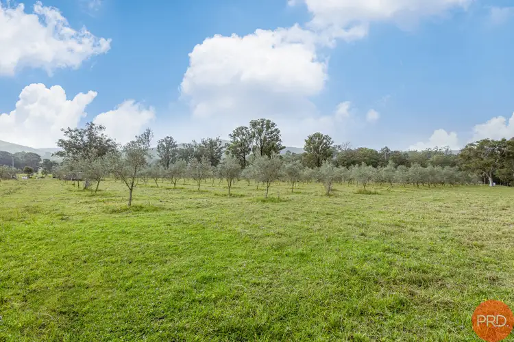 Fifth view of Homely land listing, 124a Duns Creek Road, Duns Creek NSW 2321