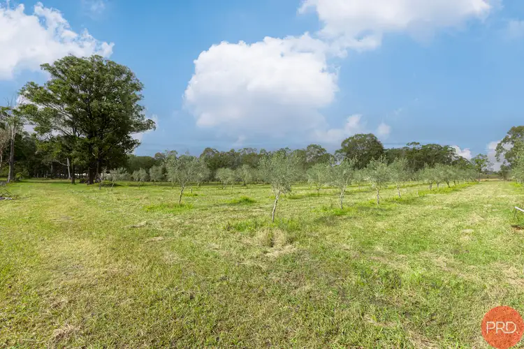 Sixth view of Homely land listing, 124a Duns Creek Road, Duns Creek NSW 2321