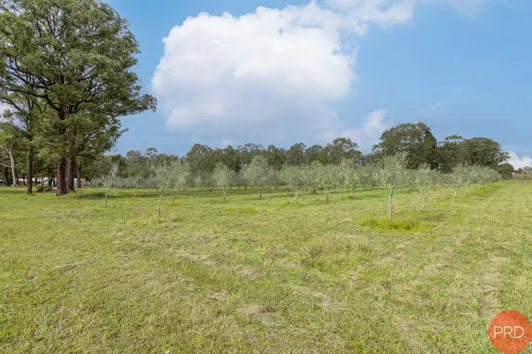 Seventh view of Homely land listing, 124a Duns Creek Road, Duns Creek NSW 2321