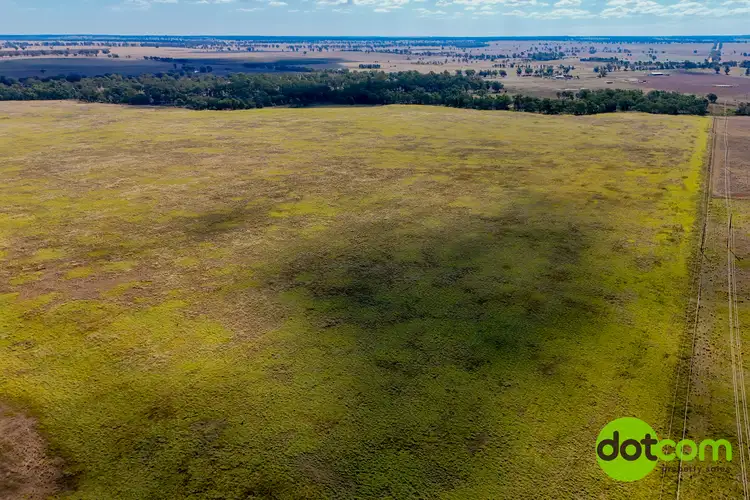 Second view of Homely rural property listing, 324 R Gilgandra Road, Eumungerie NSW 2822