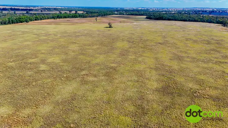 Fourth view of Homely rural property listing, 324 R Gilgandra Road, Eumungerie NSW 2822
