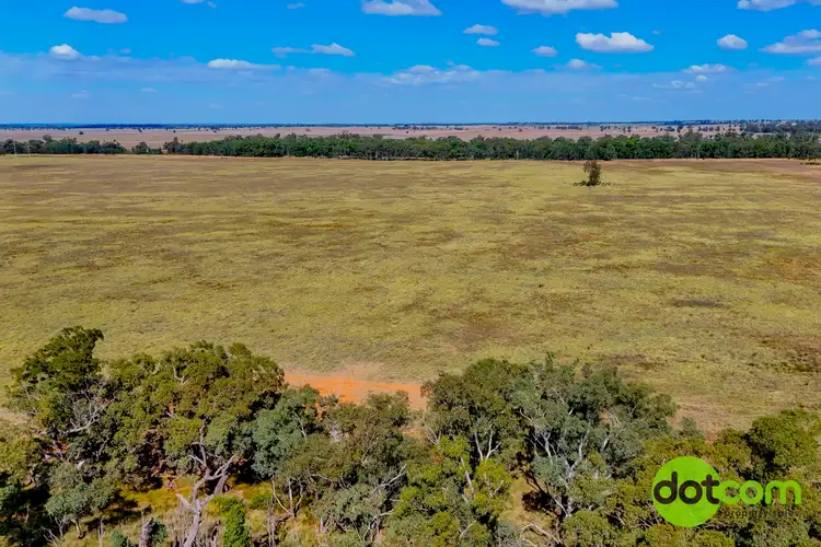 Fifth view of Homely rural property listing, 324 R Gilgandra Road, Eumungerie NSW 2822