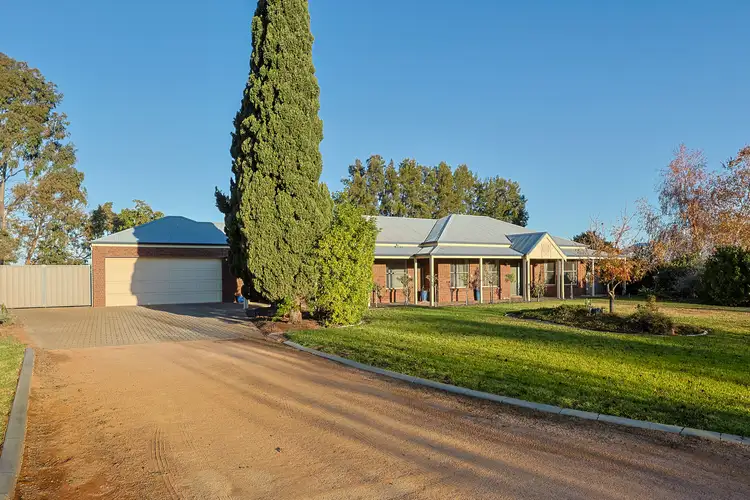 19 Stockmans Drive, Irymple VIC 3498