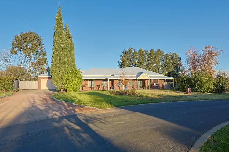 Third view of Homely house listing, 19 Stockmans Drive, Irymple VIC 3498