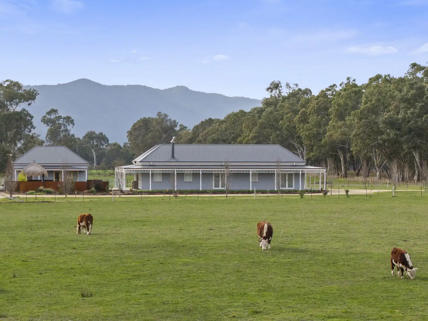 Main view of Homely rural property listing, 43 Dueran Lane, Mansfield VIC 3722