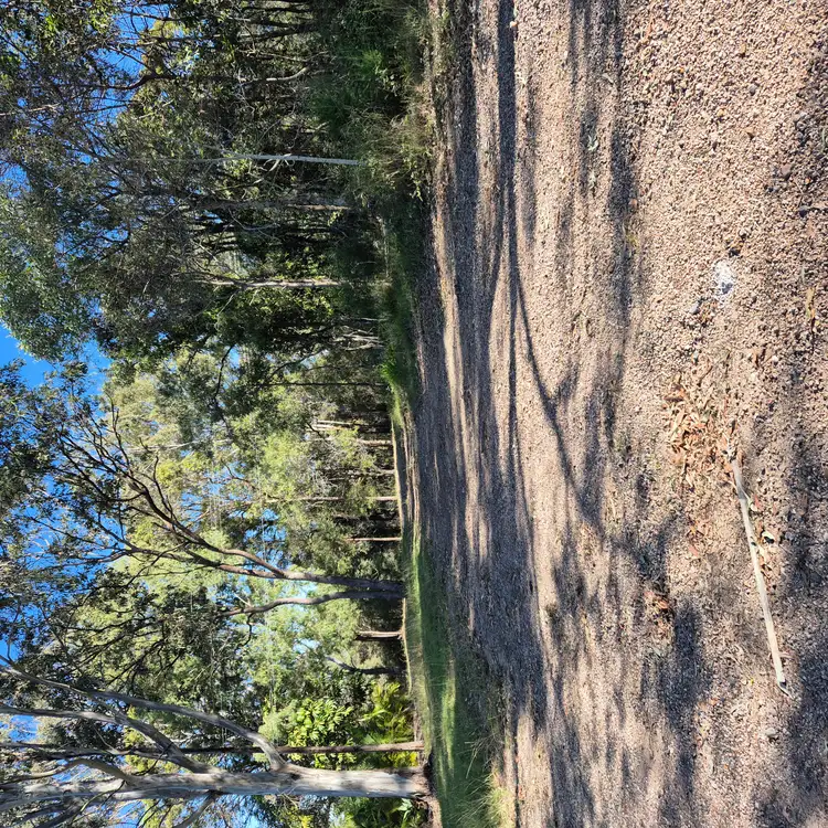 Fifth view of Homely house listing, 155 Loganview Road, Logan Reserve QLD 4133