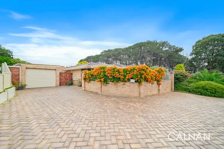 46 Williamson Road, Kardinya WA 6163